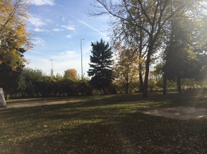 A major highway is conveniently located just behind those trees
