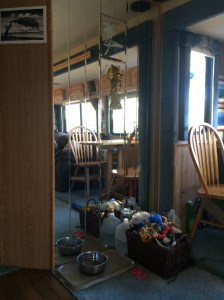 The dog toy and feeding station in front of one giant mirror