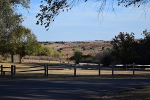 Field across from our site