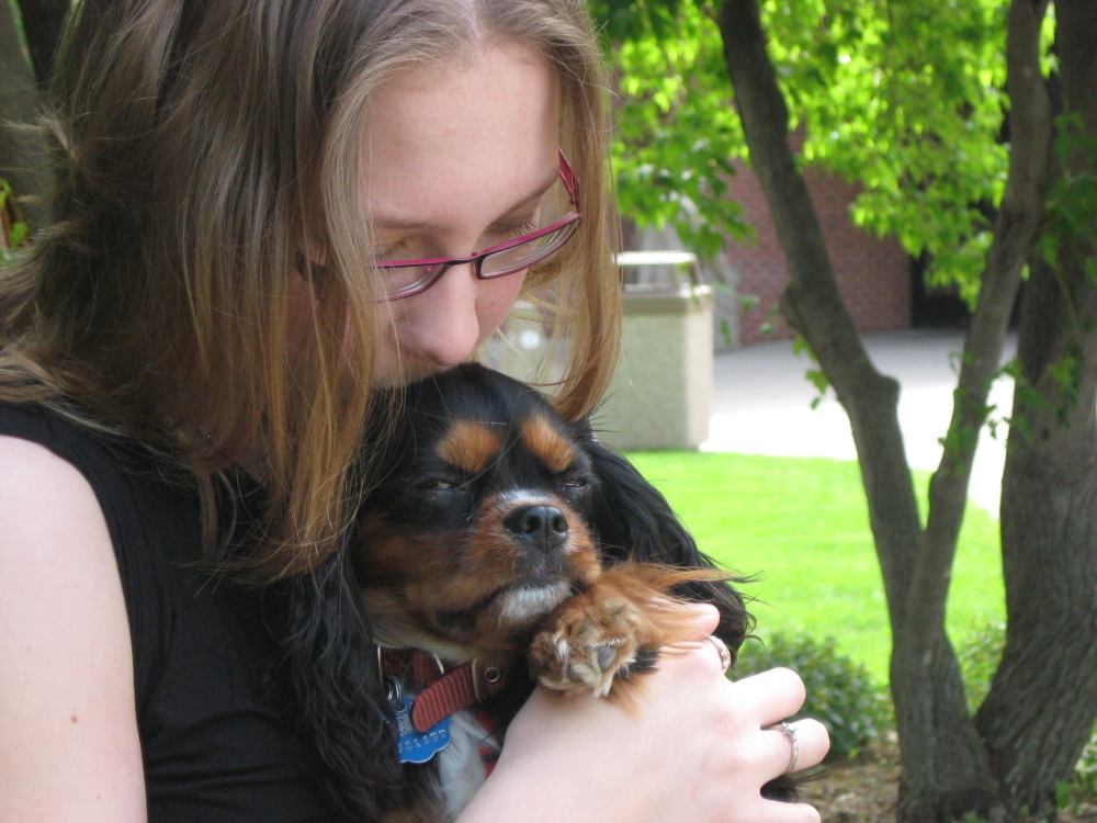 11537897_10100488472016810_249678100187143497_o