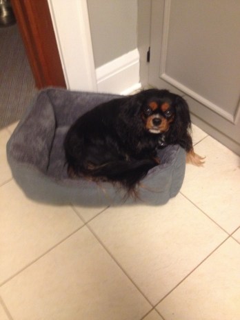 1294372_10100153190458740_680486313_o