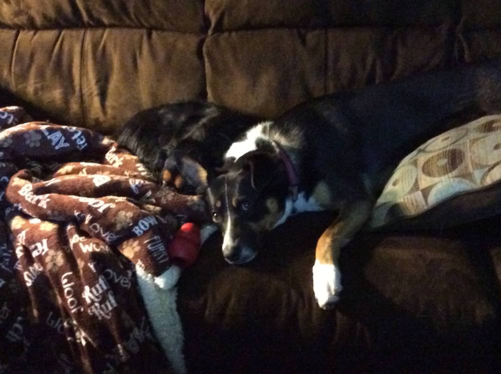 1669656_10100206128196090_1552152920_o