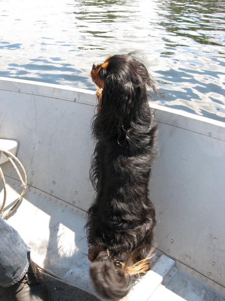 250810_817862361960_1400216422_n