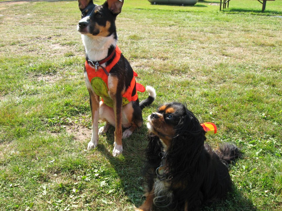 253404_851659761700_1733824840_n