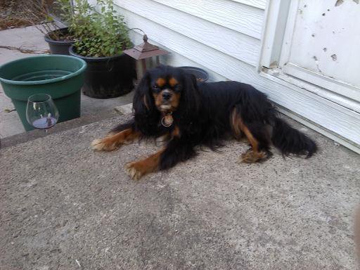 261786_677908136350_2760871_n