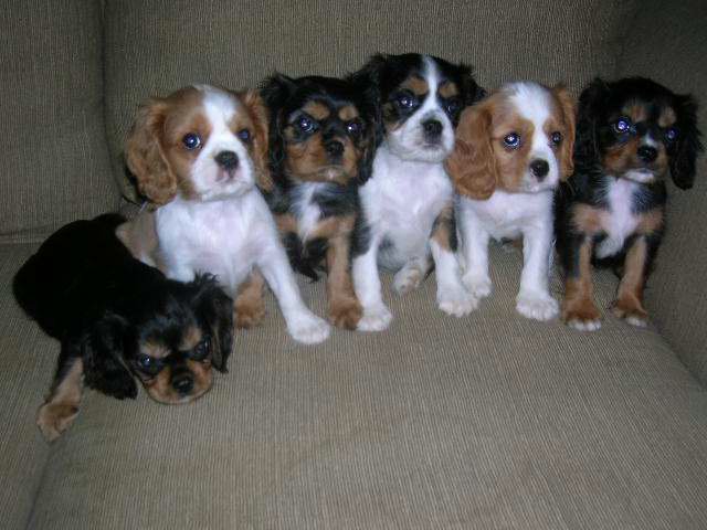 268852_679956481450_1279918_n