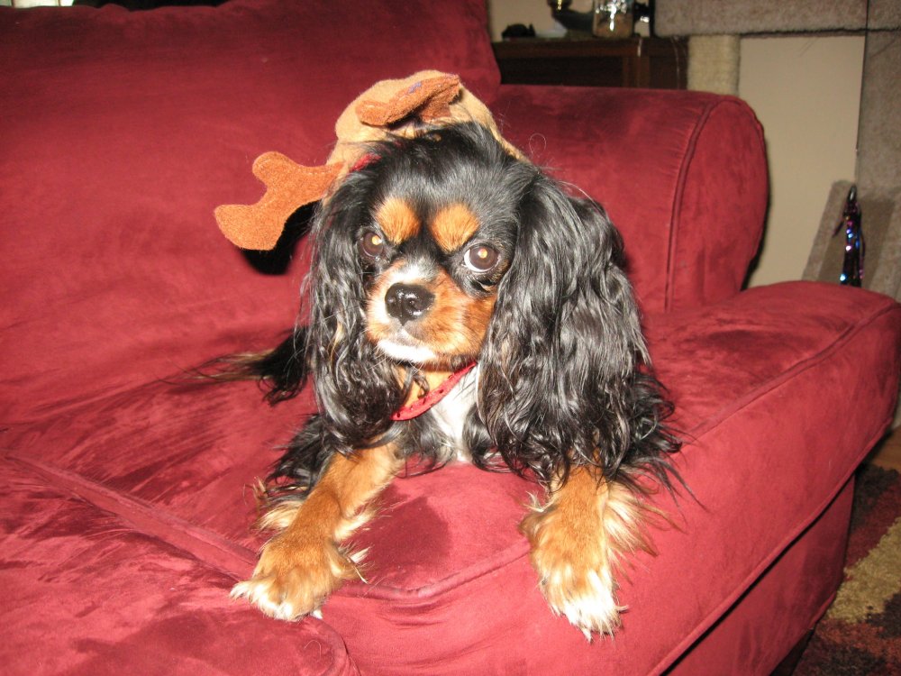 327726_699564077670_818366497_o