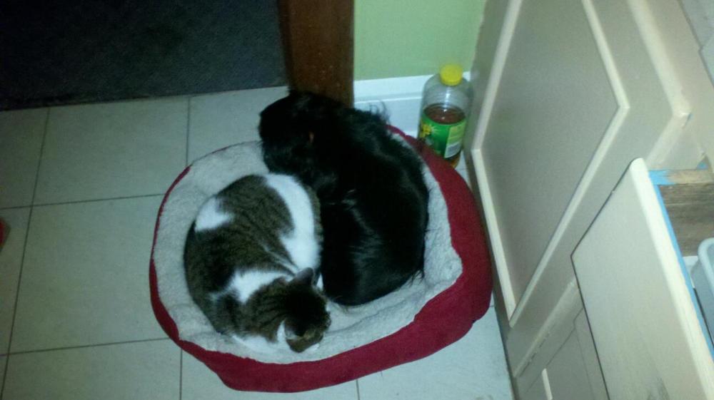 341138_706019041870_1896912907_o