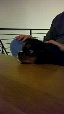 386051_740456459010_1363503433_n