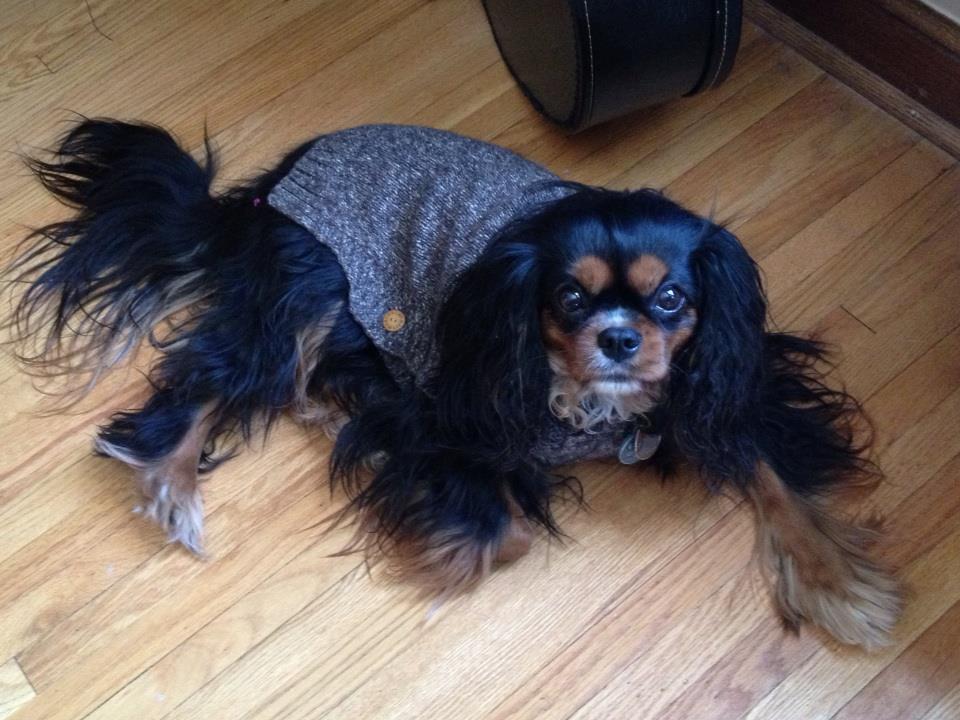 421962_918071986070_1421698478_n