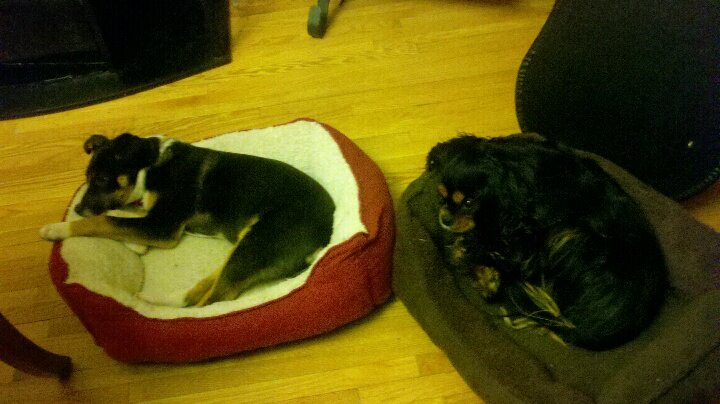 426581_753909339330_1939095933_n