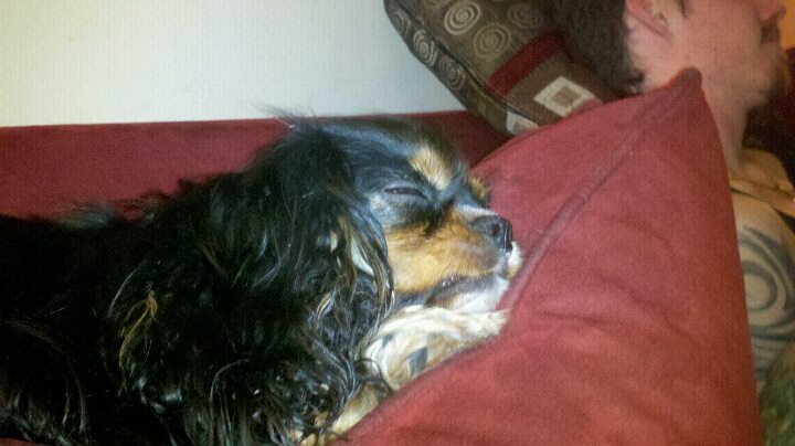 430484_762299590200_2045864083_n