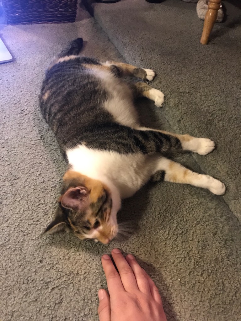 Ellie doing yoga with me 