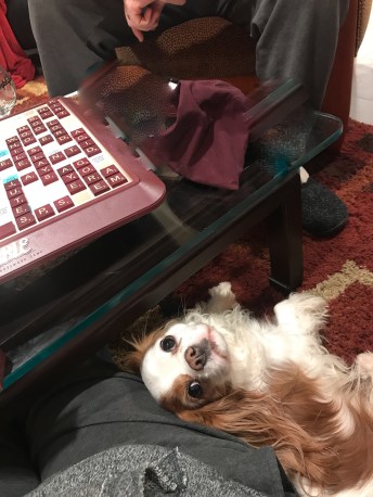 a789310b-9936-4ef6-a0a9-599612aa4e37