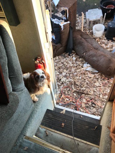 KswgOI6eTrWhrXcY+z%1Rg